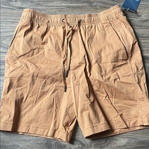 GAP Brown Casual Shorts